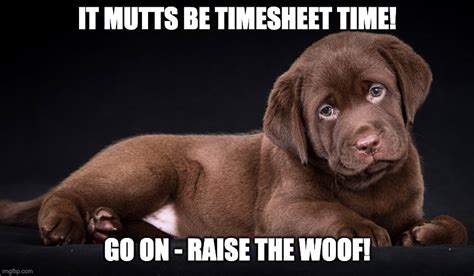 doggy timesheet reminder - Imgflip