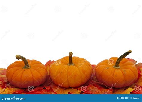 Colorful Fall Border stock image. Image of autumn, october - 44674379