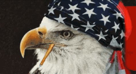 Freedom GIF - Find & Share on GIPHY