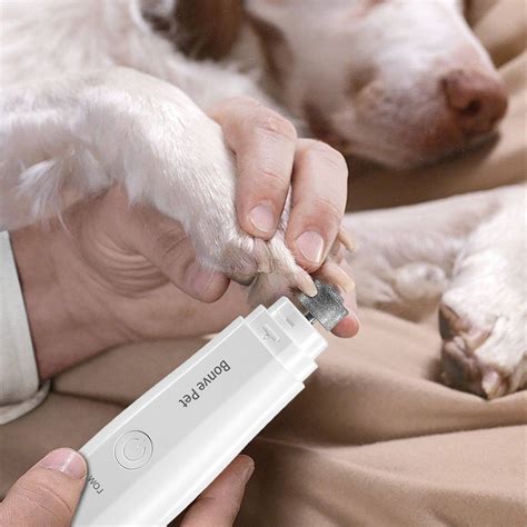 Bonve Pet Dog Nail Grinder 2 Speed Electric Pet Dog Nail Clippers Rechargeable with USB Charging ...