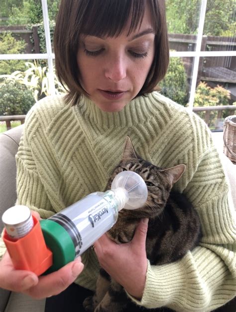 My cat and I Living With Feline Asthma - Katzenworld