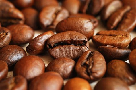 The 6 Best Medium Roast Coffee Options For You