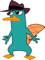 Perry the Platypus - Wikipedia