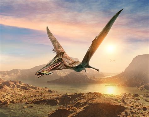 Jurassic Park was wrong about how fast pterosaurs could fly - Earth.com