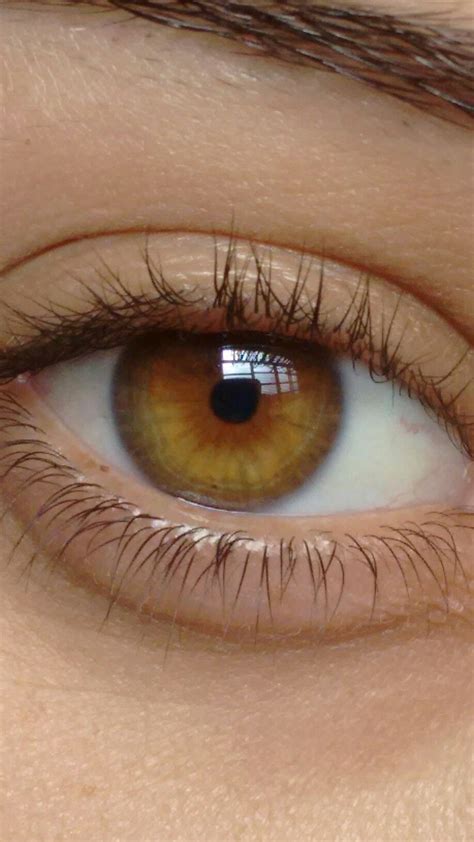 Hazel Green Eyes, Makeup For Green Eyes, Hazel Eyes, Honey Eyes Color, Amber Eyes Color ...