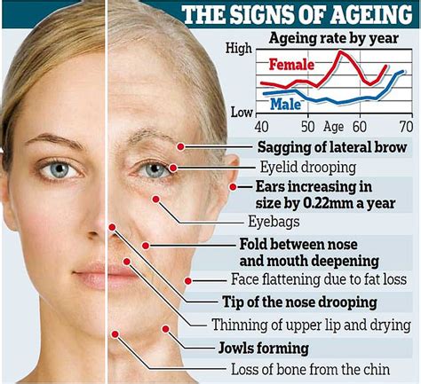 How the loss of sex hormone oestrogen causes a woman's face to age faster than a man | Daily ...