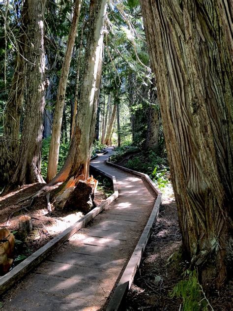 Peaceful Trillium Lake camping, hikes and more on Mt. Hood near Portland