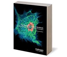 The Molecular Probes Handbook | Thermo Fisher Scientific - JP