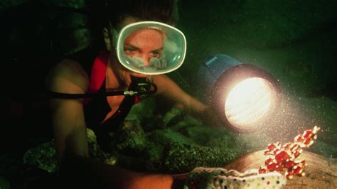 The Deep (1977) | MUBI