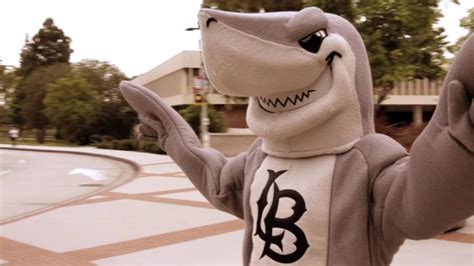 Meet Elbee: Toothy new mascot unveiled at Cal State Long Beach – Press Telegram