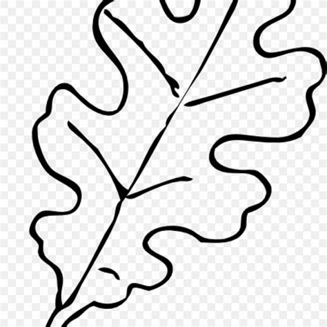 White Oak Drawing Leaf Northern Red Oak Tree, PNG, 1024x1024px, White ...