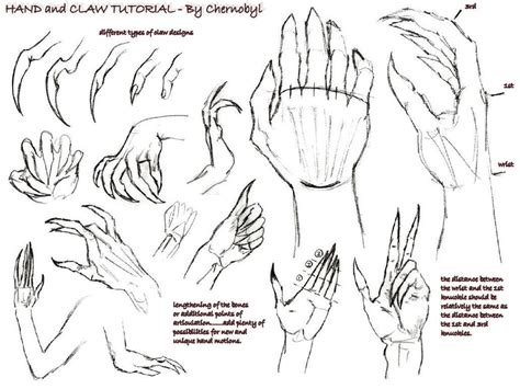 Image result for claws reference | Creature drawings