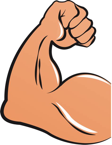 Muscles Clipart Muscle Anatomy Muscles Muscle Anatomy Transparent Free | The Best Porn Website