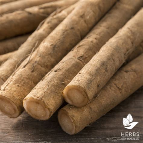 fresh burdock roots | Traditional root beer recipe, Root beer recipe, Herbal recipes