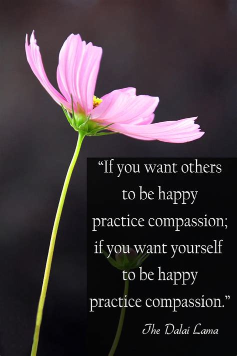 Quotes About Compassion Dalai Lama. QuotesGram