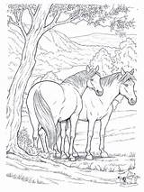 Free Printable Horse Coloring Pages For Kids sketch template