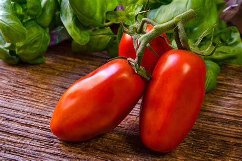 What Is a San Marzano Tomato? - Recipes.net