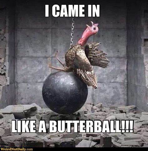 12 Really Hilarious and Funny Turkey Thanksgiving Memes