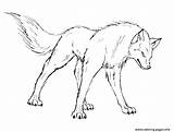 Wolf Pack Coloring Pages At GetColoringscom  Free Printable Colorings sketch template