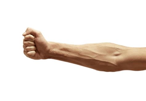 Male Arm Stock Photo - Download Image Now - iStock