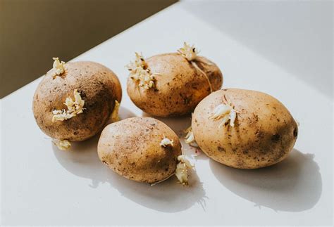 Can You Eat Sprouted Potatoes? | Allrecipes