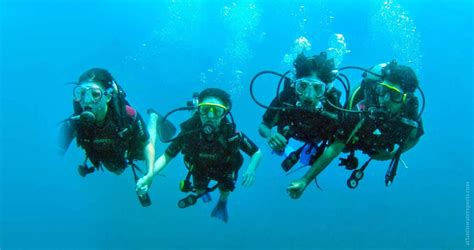 Scuba Diving in Goa : General information - Ghumledunia | Scuba diving, Scuba, Diving