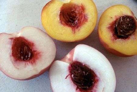 White Peaches vs. Yellow Peaches... What's the Difference? - kiss.cook.eat.