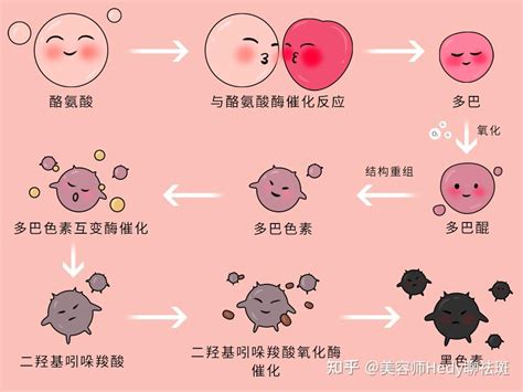 想要祛斑，首先你得知道斑的形成原理 - 知乎