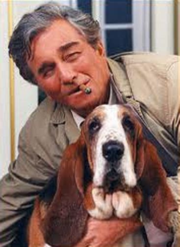 Columbo's Basset Hound (2024)