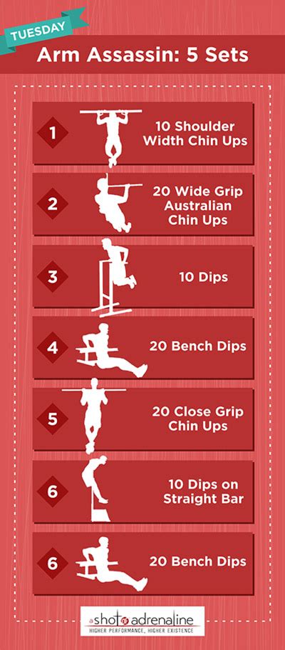 12 Week Calisthenics Workout Plan Free | EOUA Blog