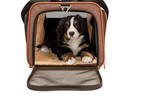 Premium Airline Approved Expandable Pet Carrier With Wheels