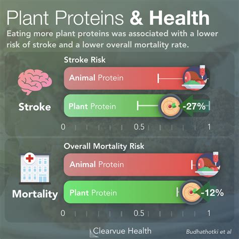 3 Charts | Vegan Protein vs Animal Protein | Visualized Science