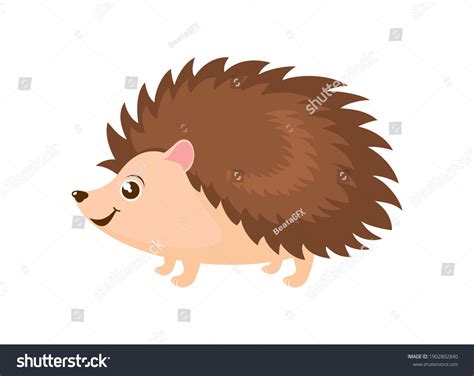 47,018 Hedgehog Cartoon Images, Stock Photos & Vectors | Shutterstock