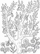 Cute tree With Leaves And Pears Olivier  Flowers Adult Coloring Pages sketch template