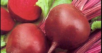 Manfaat dan Khasiat Buah Bit Merah | Blog TaniPedia | Informasi ...