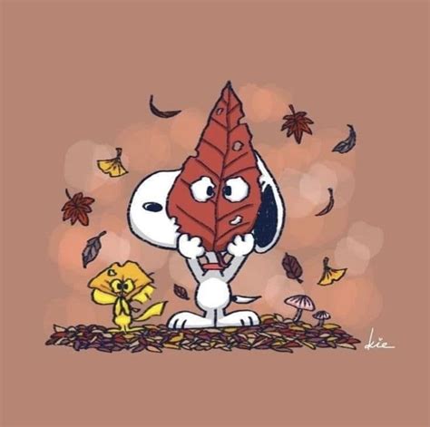 Snoopy Halloween, Snoopy Images, Snoopy Pictures, Woodstock Peanuts, Peanuts Snoopy, Snoopy ...