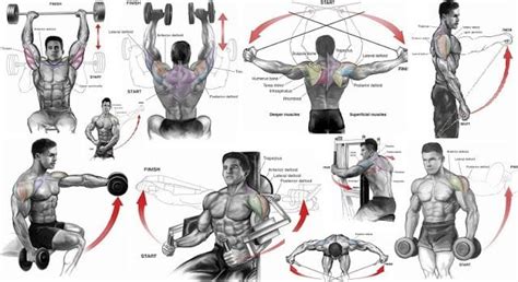 The 9 Best Shoulder Exercises of All Time