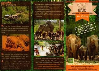 Elephant Jungle Sanctuary (Chiang Mai, Thailand) - Brochure, Tour Info ...