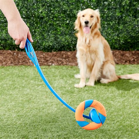 CHUCKIT! Slobber Free Dog Toy Kit - Chewy.com