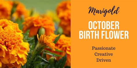 Discover Your Birth Flower - Interflora | October birth flowers, Birth flowers, October flowers