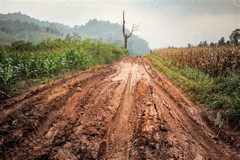 Off-road track in country 1386916 Stock Photo at Vecteezy