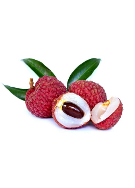 Sweetheart Lychee 3-5 ft | Tropical Fruit Tree | Sow Exotic