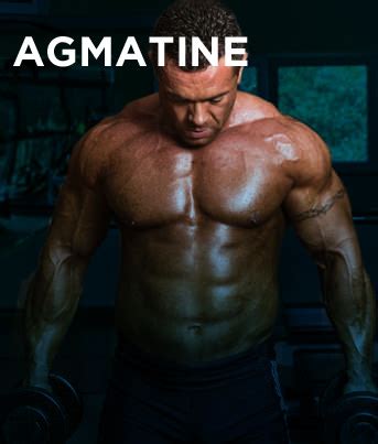 Agmatine Supplements - eSupplements.com