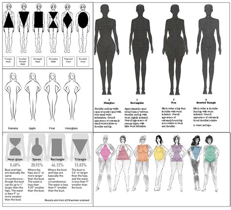 Locky's English Playground: Vocabulary: Words That Describe Body Shapes