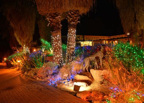 Living Desert's 'WildLights' Kicks Off This Week | Palm Desert, CA Patch