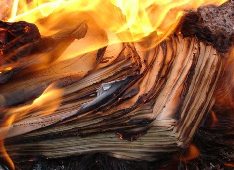 Can You Burn Paper in a Fire Pit? HELL NO, BUT WHY NOT?