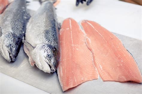 Skuna Bay – A Salmon for Every Season