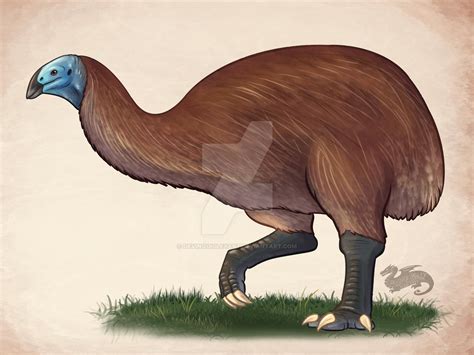 Giant Moa by DevinQuigleyArt on DeviantArt