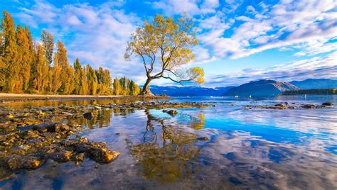 Lake Wanaka, New Zealand, Back to Nature! - Traveldigg.com