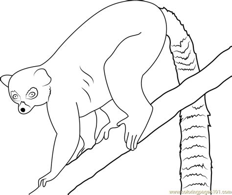 Ring Tailed Lemur Coloring Page at GetColorings.com | Free printable colorings pages to print ...